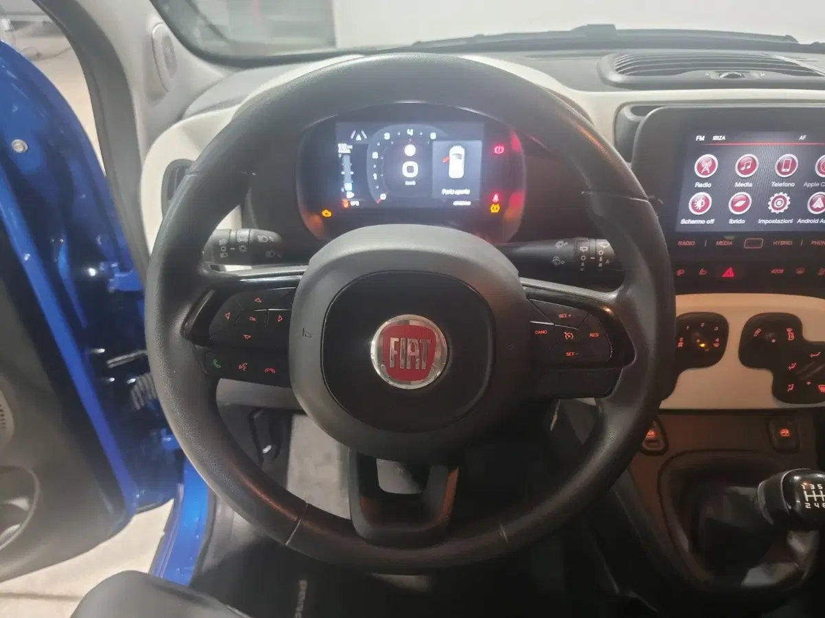 Fiat Pandina usata a Caserta (19)