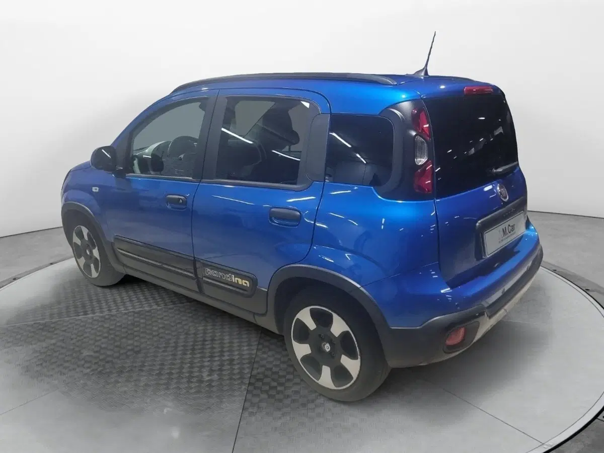 Fiat Pandina usata a Caserta (3)