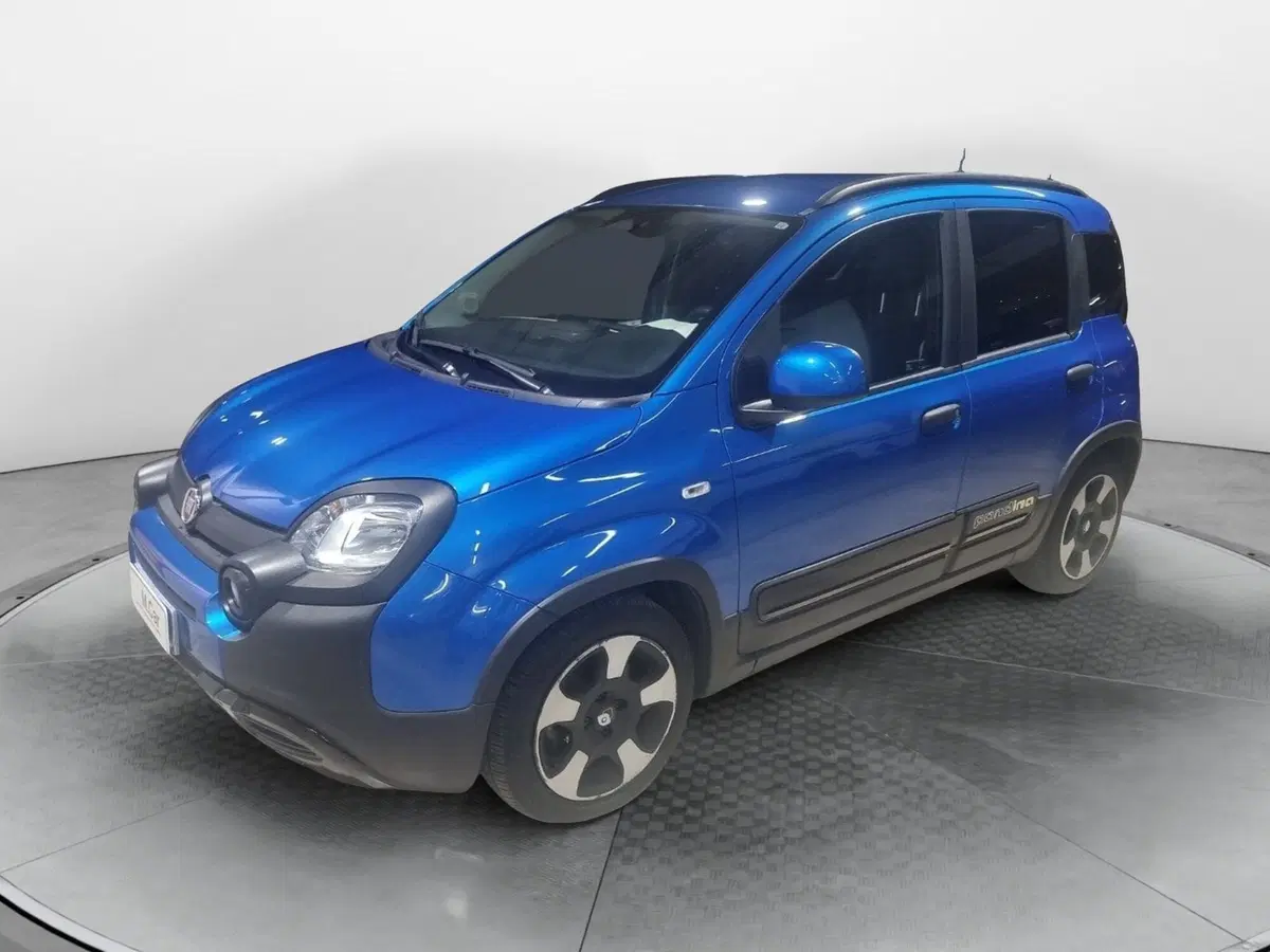 Fiat Pandina usata a Caserta (5)