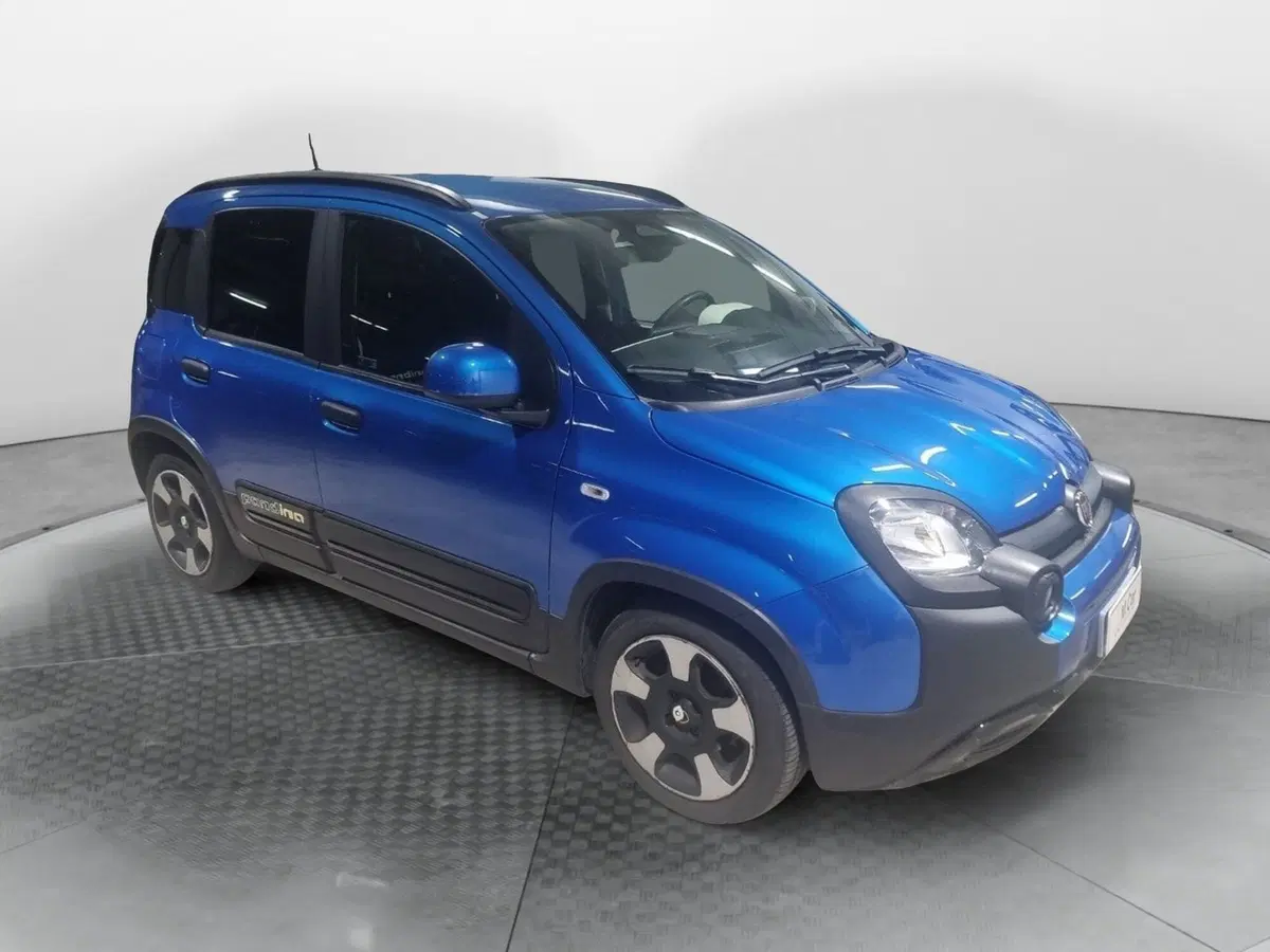 Fiat Pandina usata a Caserta (7)