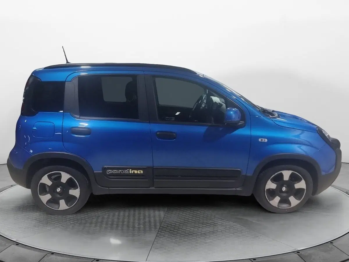 Fiat Pandina usata a Caserta (8)
