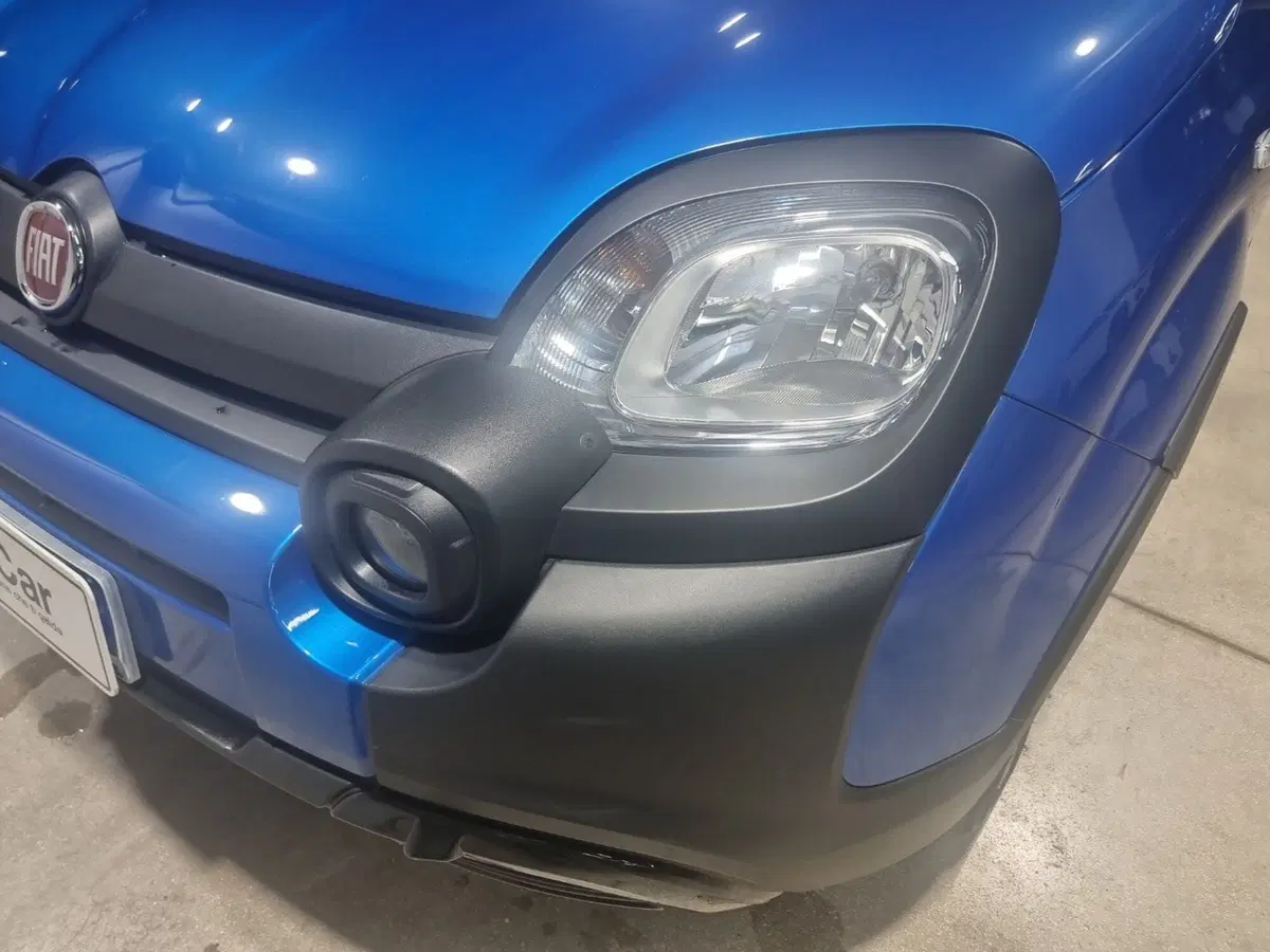 Fiat Pandina usata a Caserta (9)