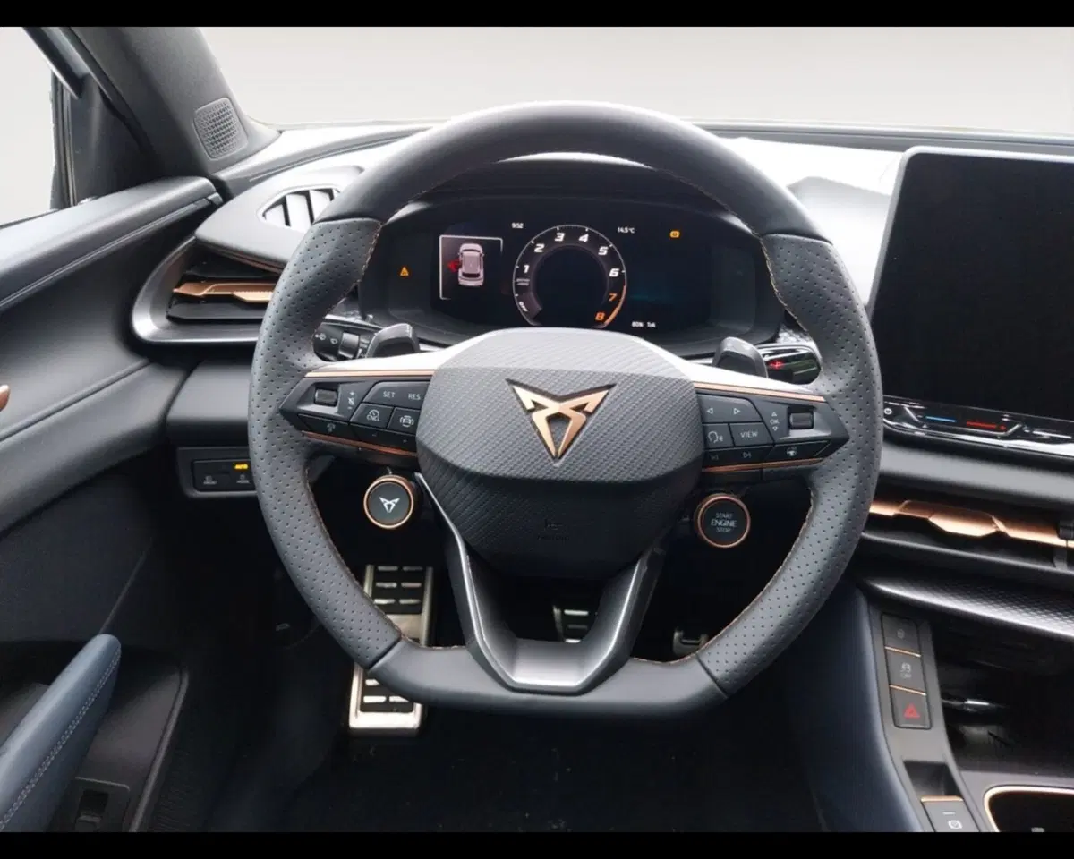 Cupra Terramar nuova a Forlì-Cesena (12)