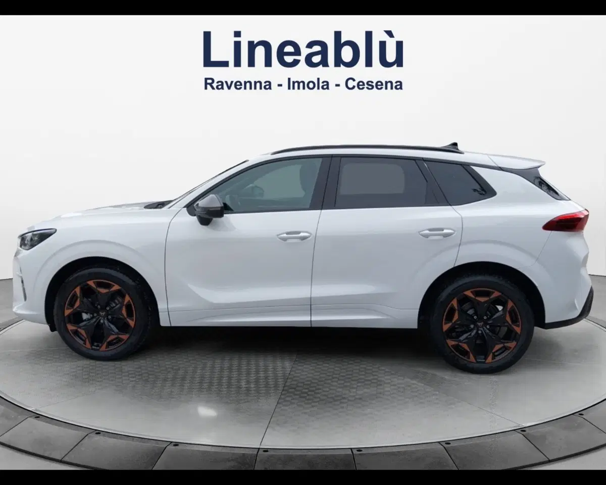 Cupra Terramar nuova a Forlì-Cesena (2)