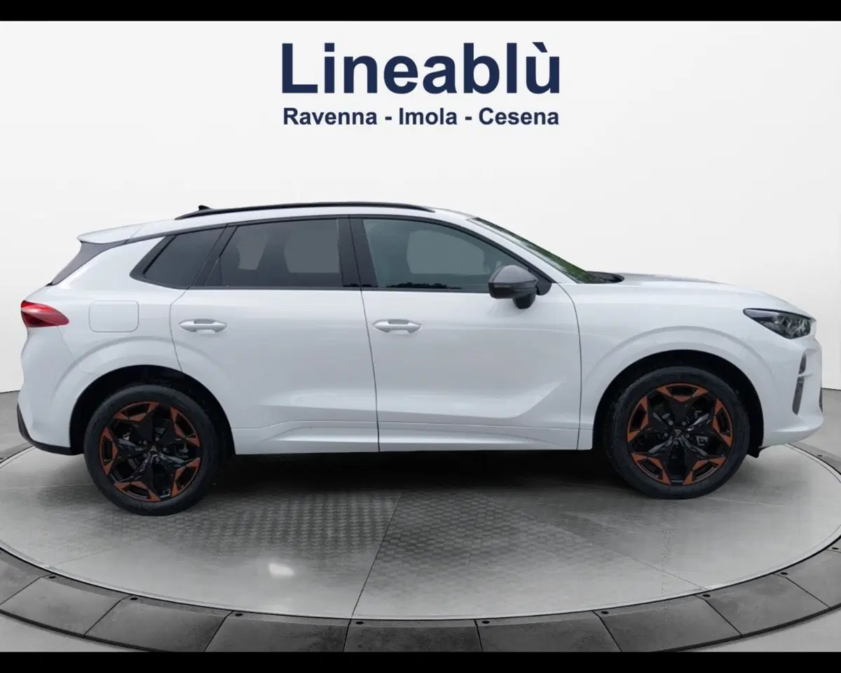 Cupra Terramar nuova a Forlì-Cesena (6)