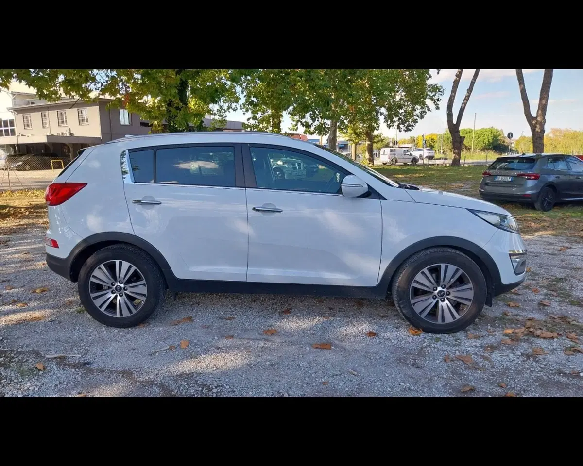 Kia Sportage usata a Forlì-Cesena (4)