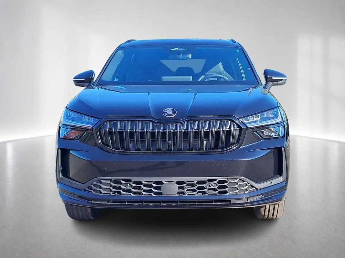 Skoda Kodiaq nuova a Ravenna (4)