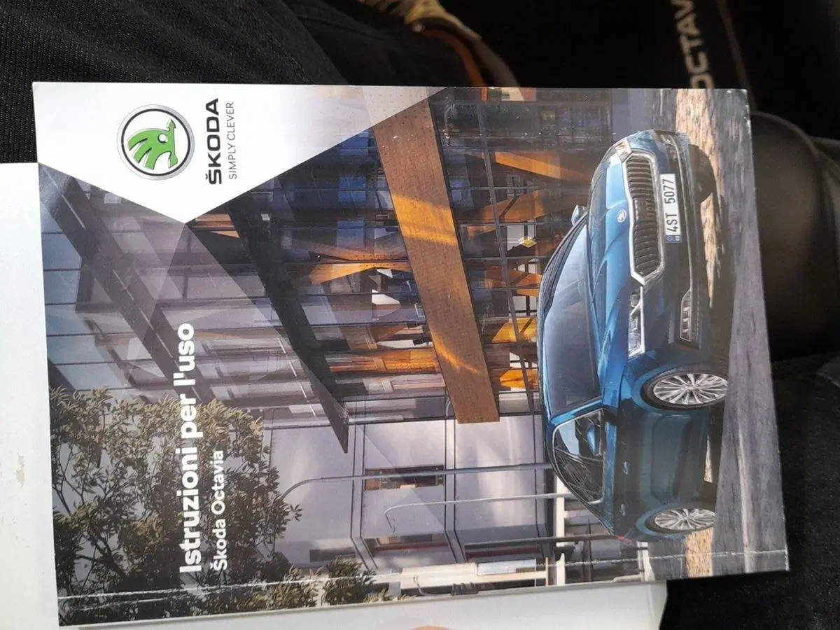 Skoda Octavia Station Wagon usata a Ravenna (14)