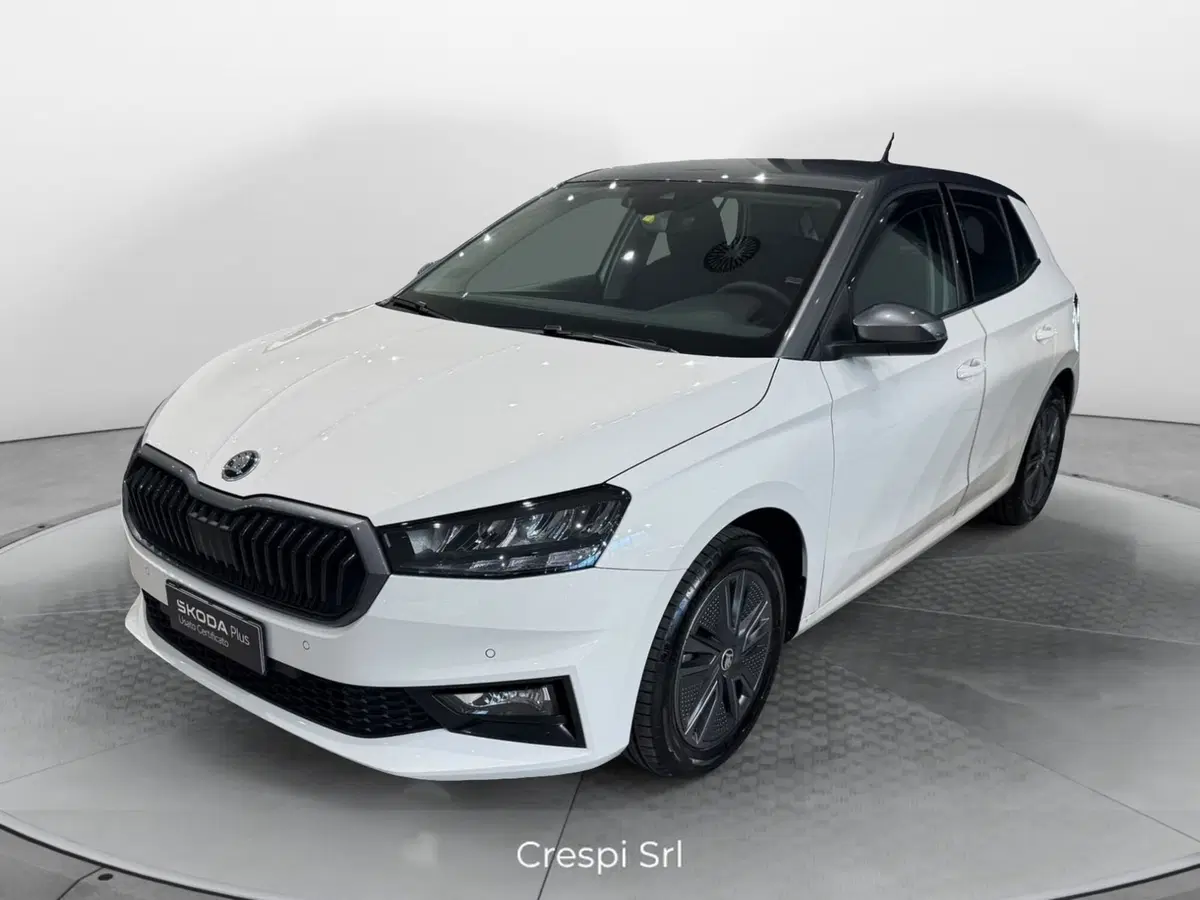 Skoda Fabia usata a Varese