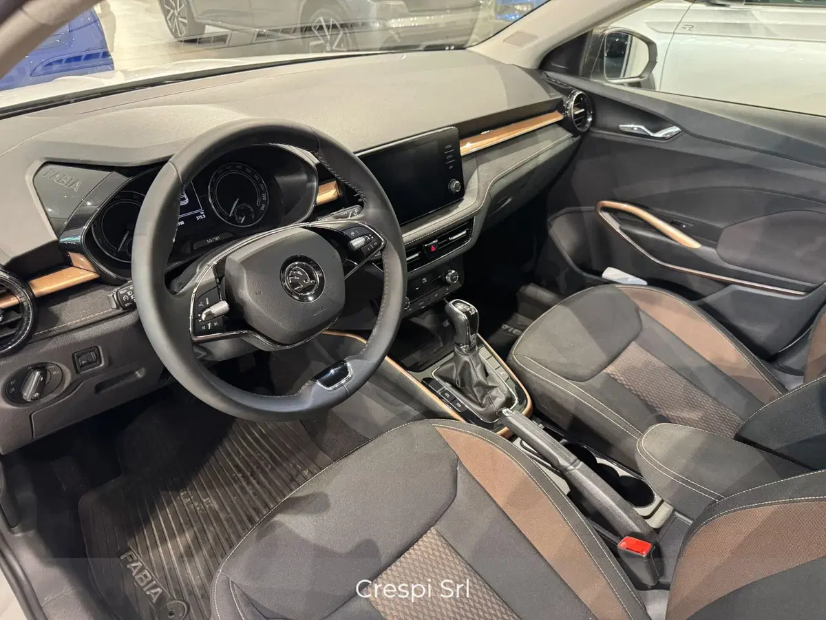 Skoda Fabia usata a Varese (10)