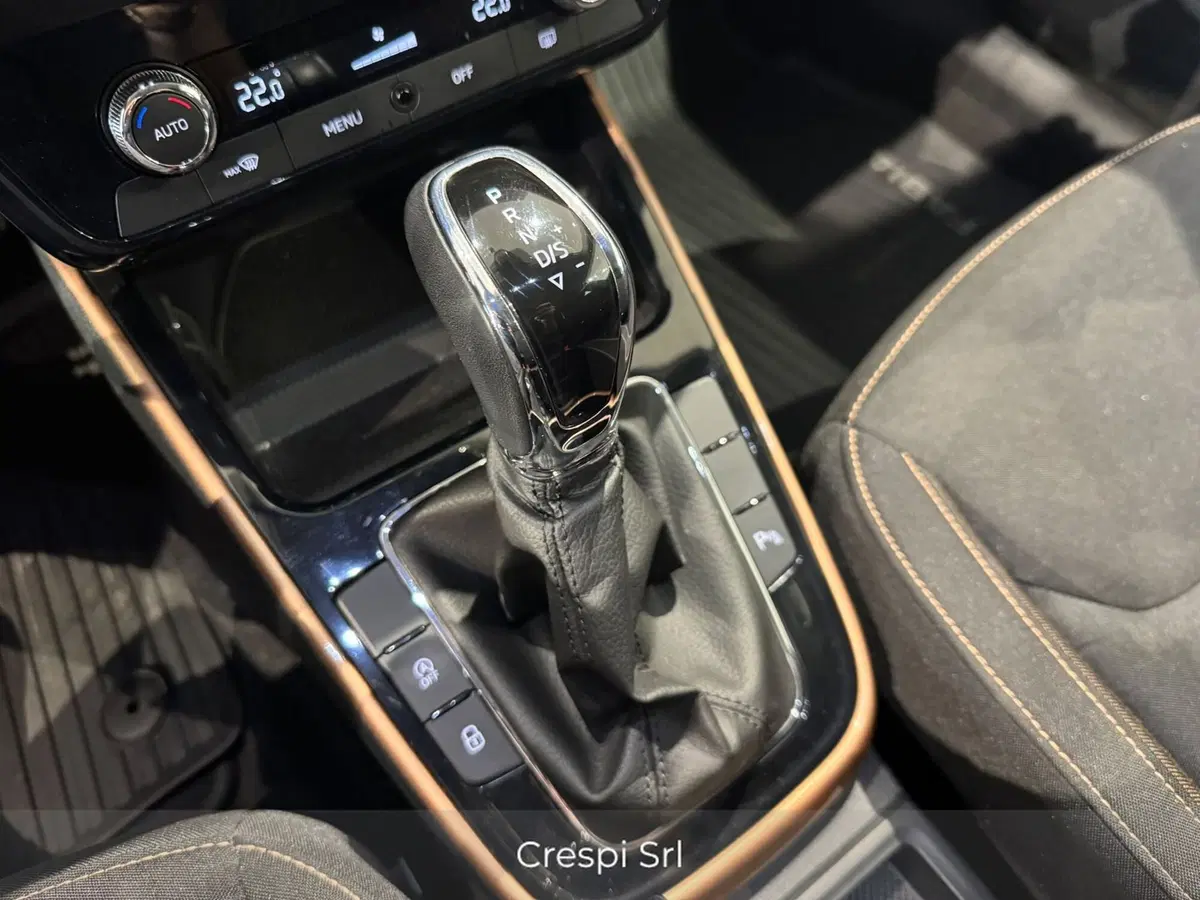 Skoda Fabia usata a Varese (16)