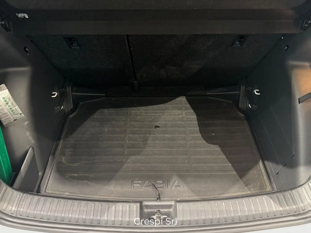 Skoda Fabia usata a Varese (19)
