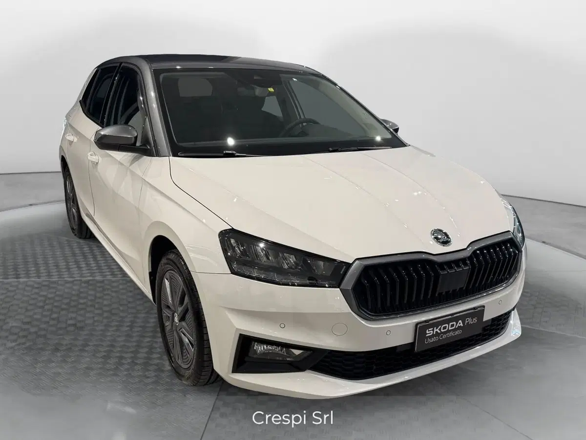 Skoda Fabia usata a Varese (2)