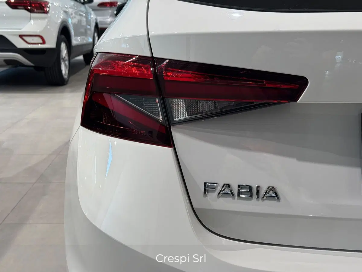 Skoda Fabia usata a Varese (6)