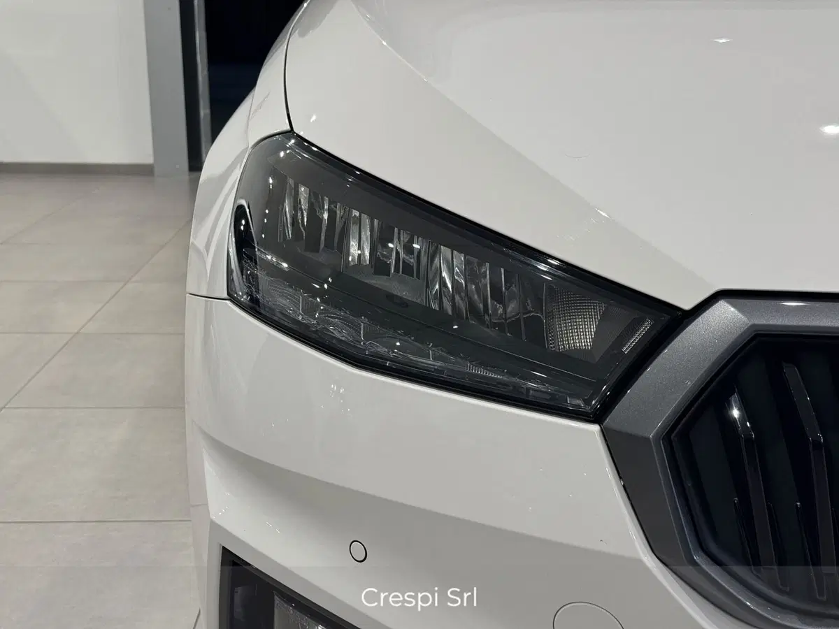 Skoda Fabia usata a Varese (7)