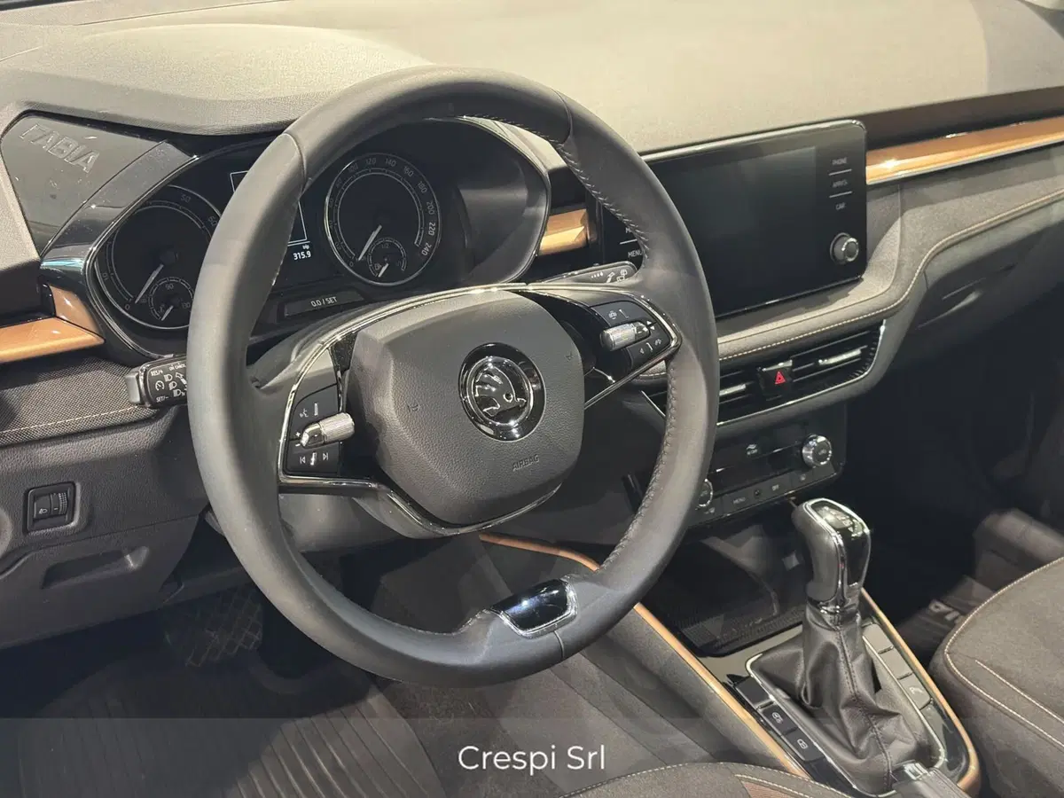 Skoda Fabia usata a Varese (9)
