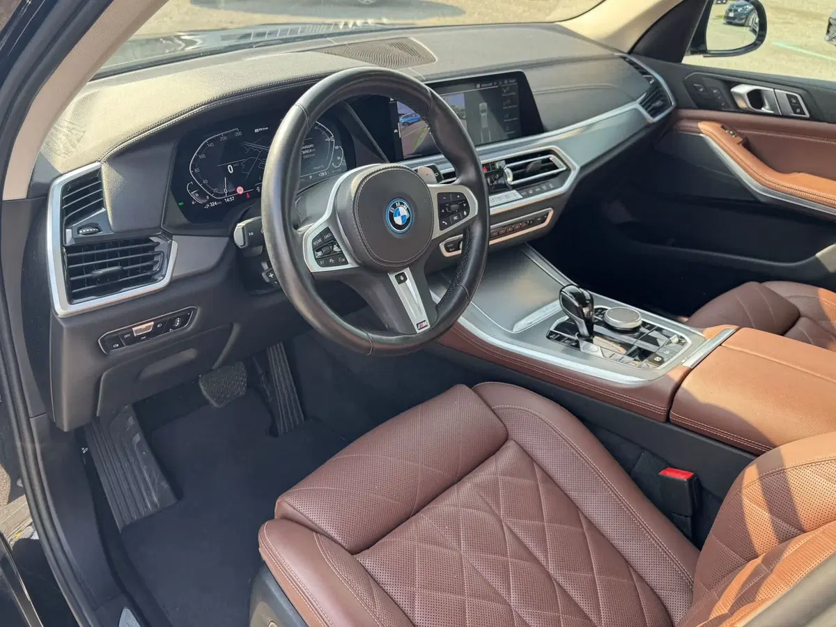 BMW X5 usata a Monza e Brianza (12)