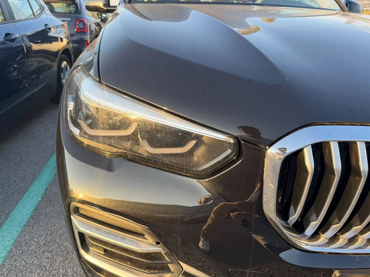 BMW X5 usata a Monza e Brianza (15)
