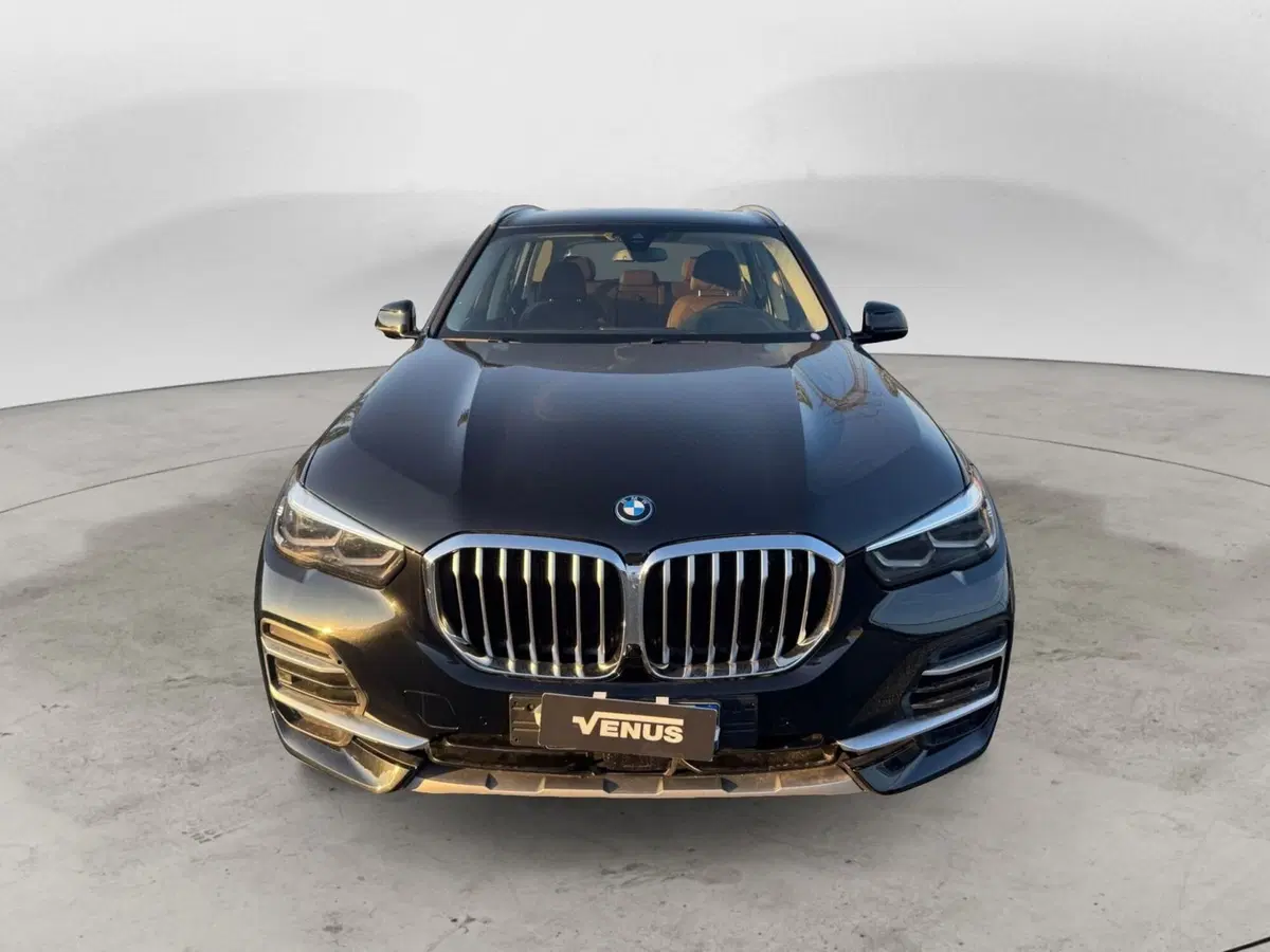 BMW X5 usata a Monza e Brianza (2)