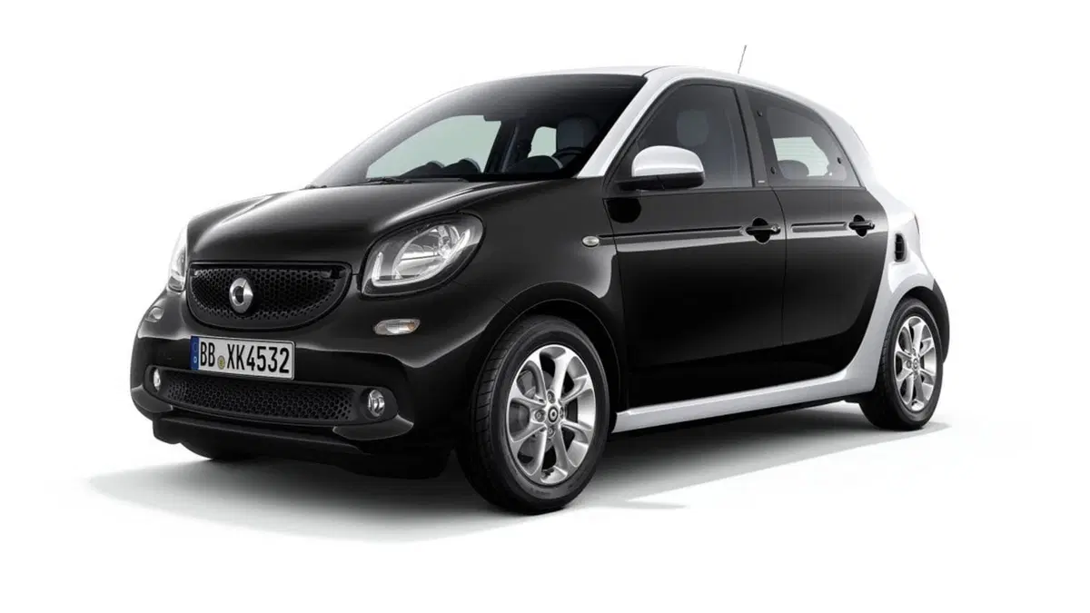 smart forfour usata a Frosinone