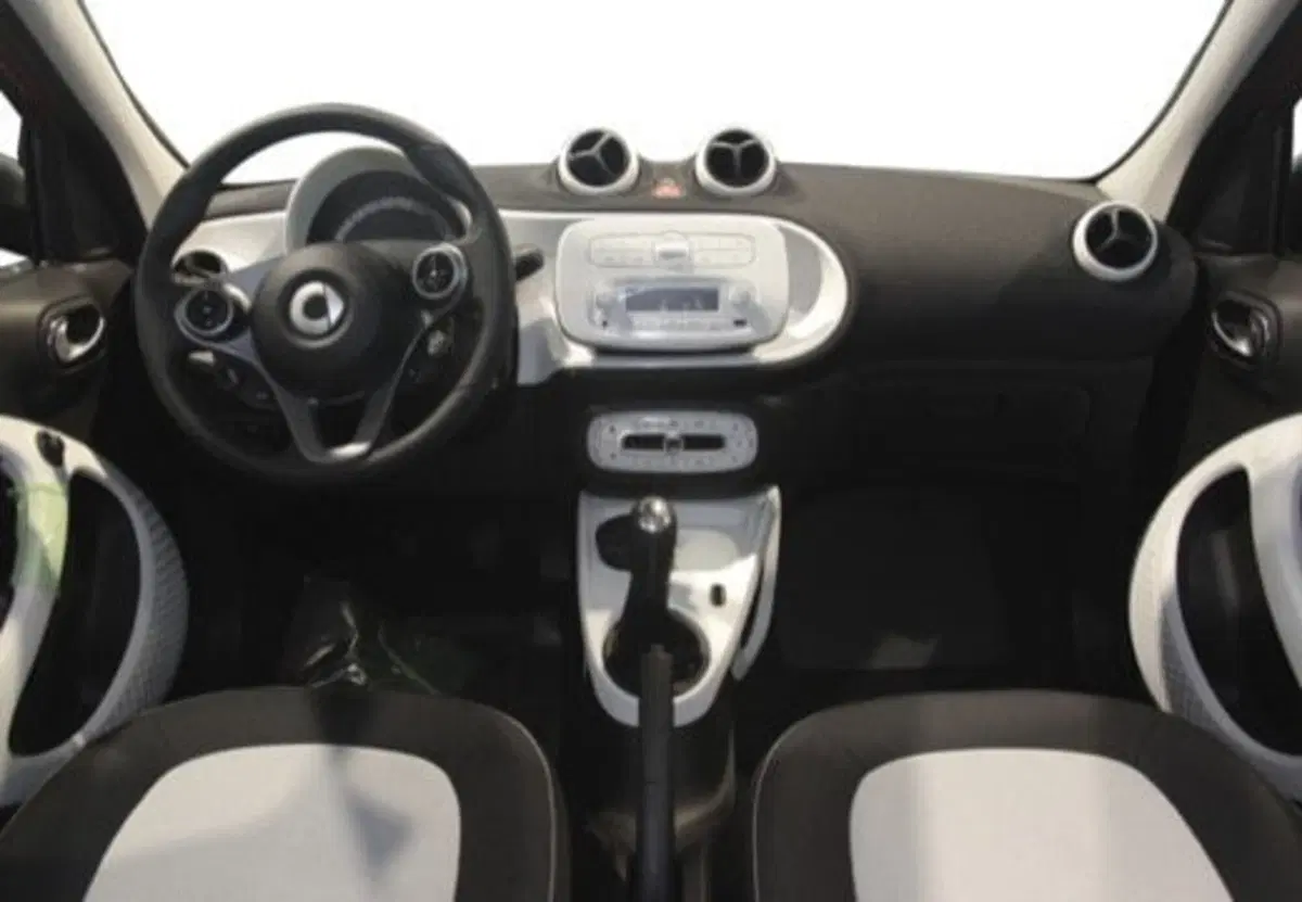 smart forfour usata a Frosinone (4)