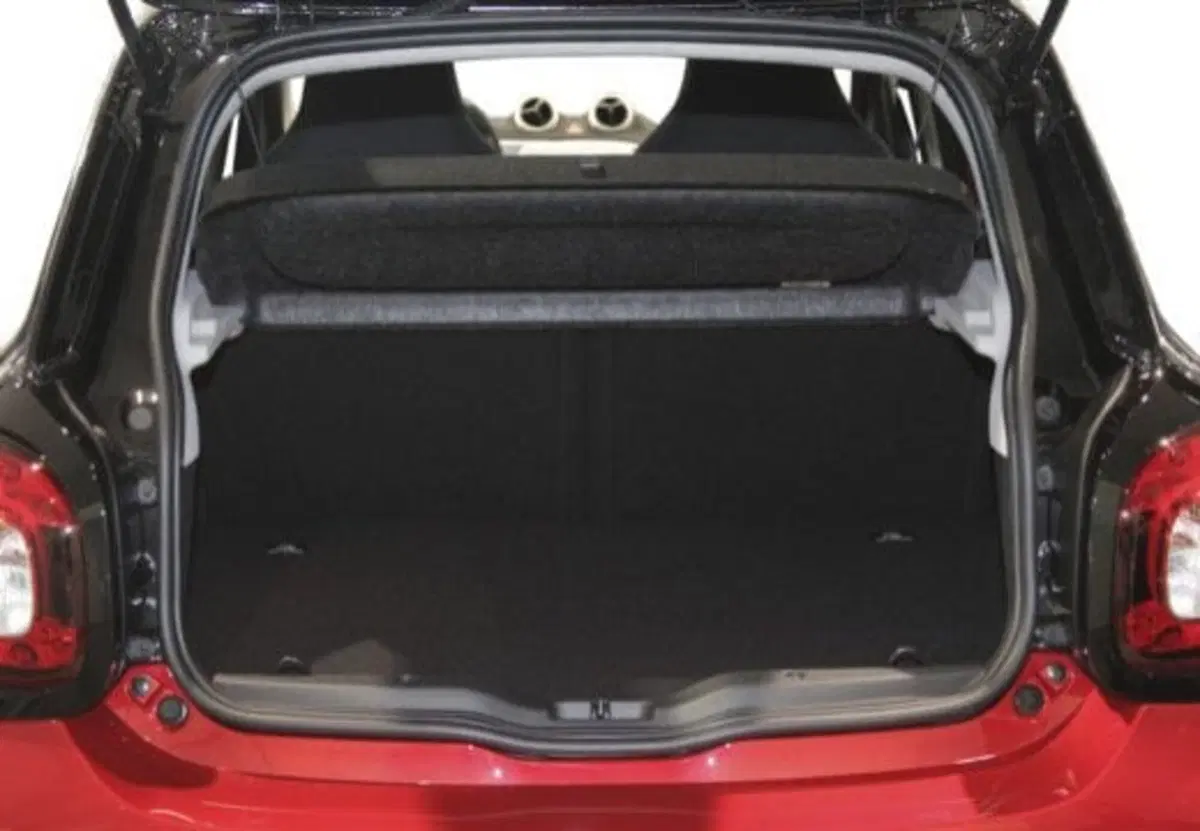 smart forfour usata a Frosinone (5)
