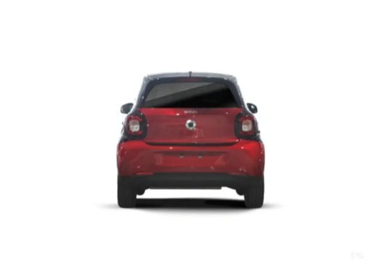 smart forfour usata a Frosinone (6)