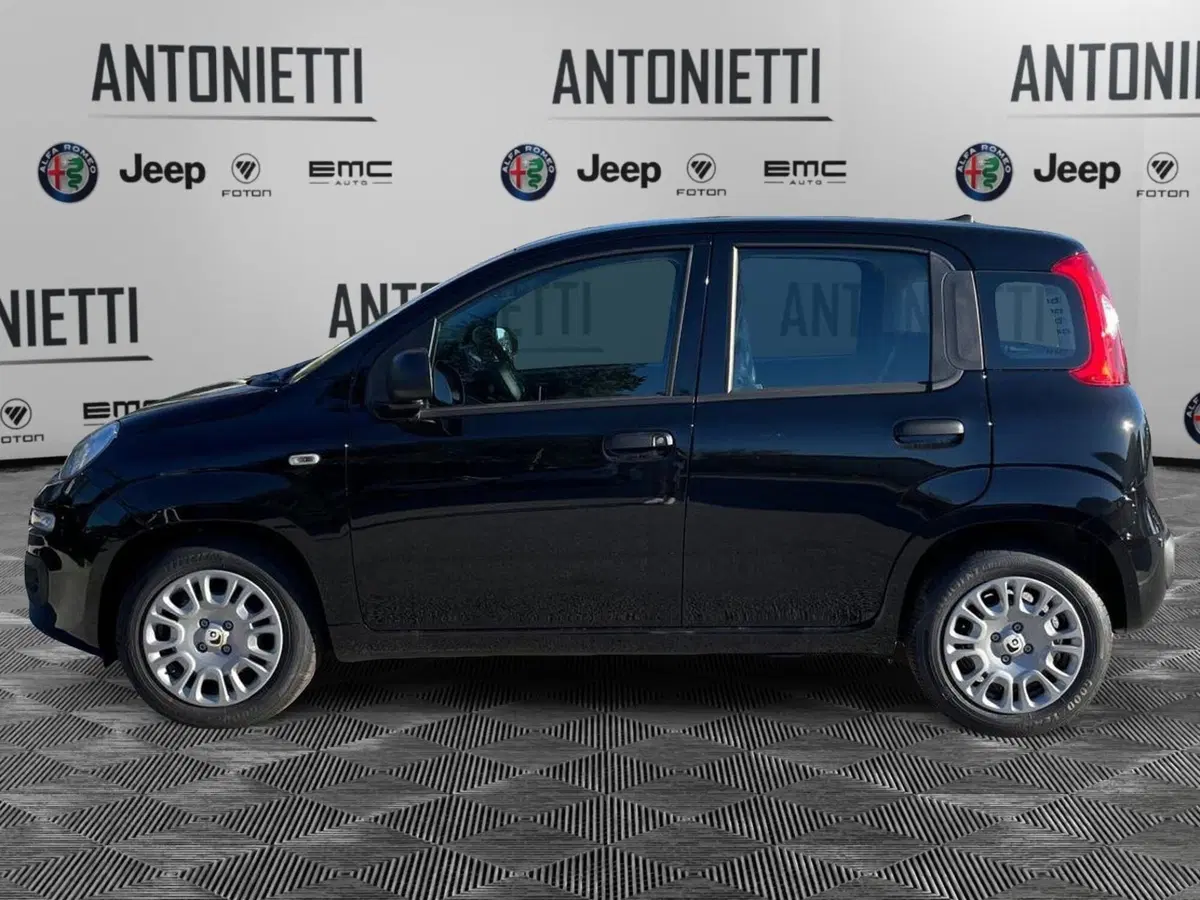 Fiat Pandina nuova a Ancona (8)