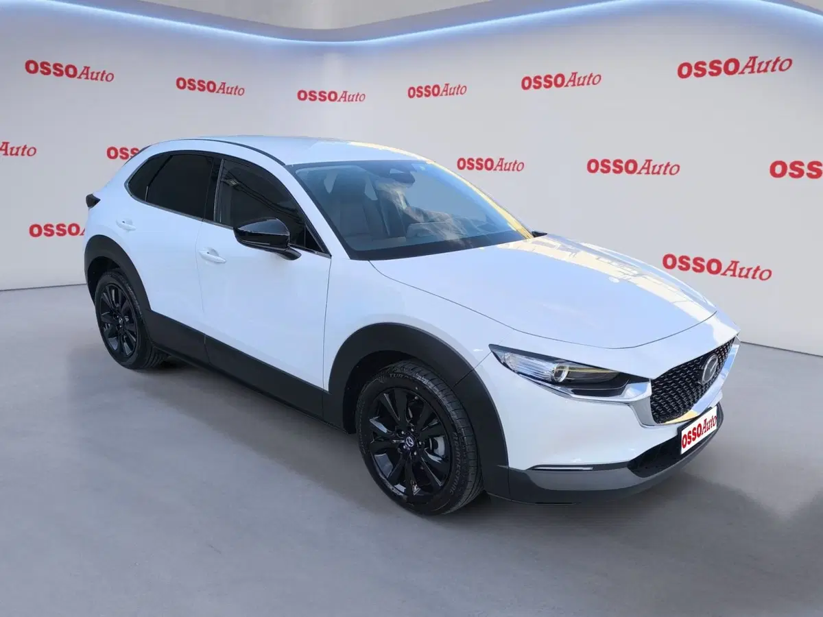 Mazda CX-30 usata a Udine (2)