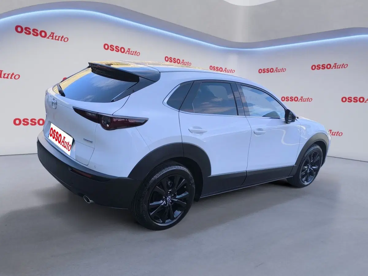 Mazda CX-30 usata a Udine (3)
