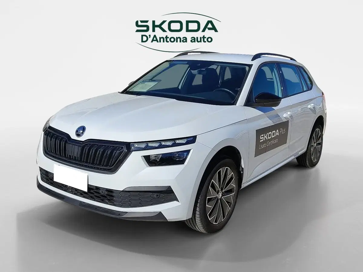 Skoda Kamiq usata a Taranto (3)