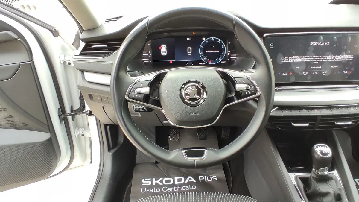 Skoda Kamiq usata a Taranto (9)