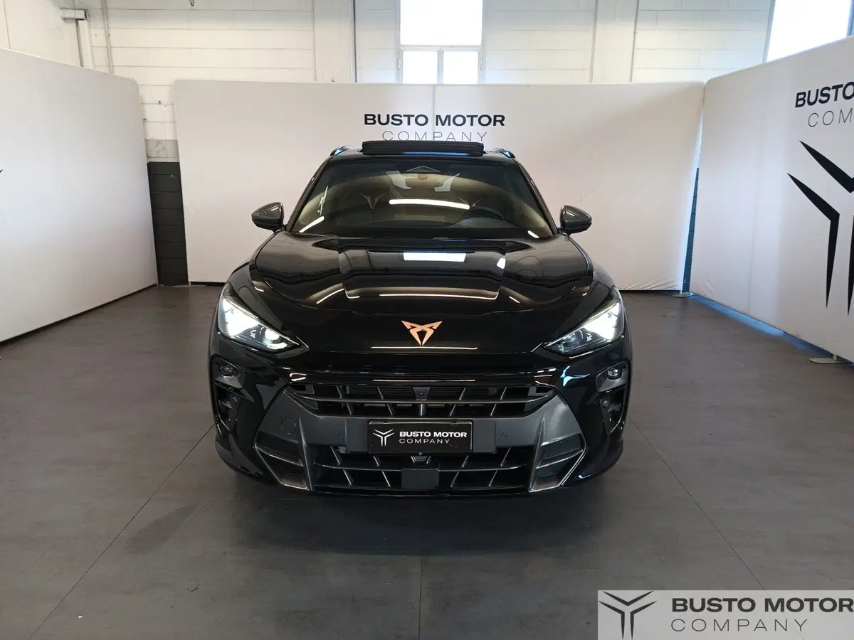 Cupra Terramar usata a Varese (2)