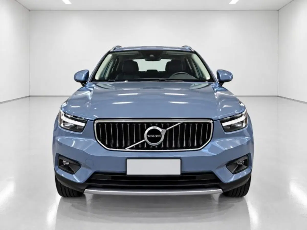 Volvo XC40 usata a Firenze (2)
