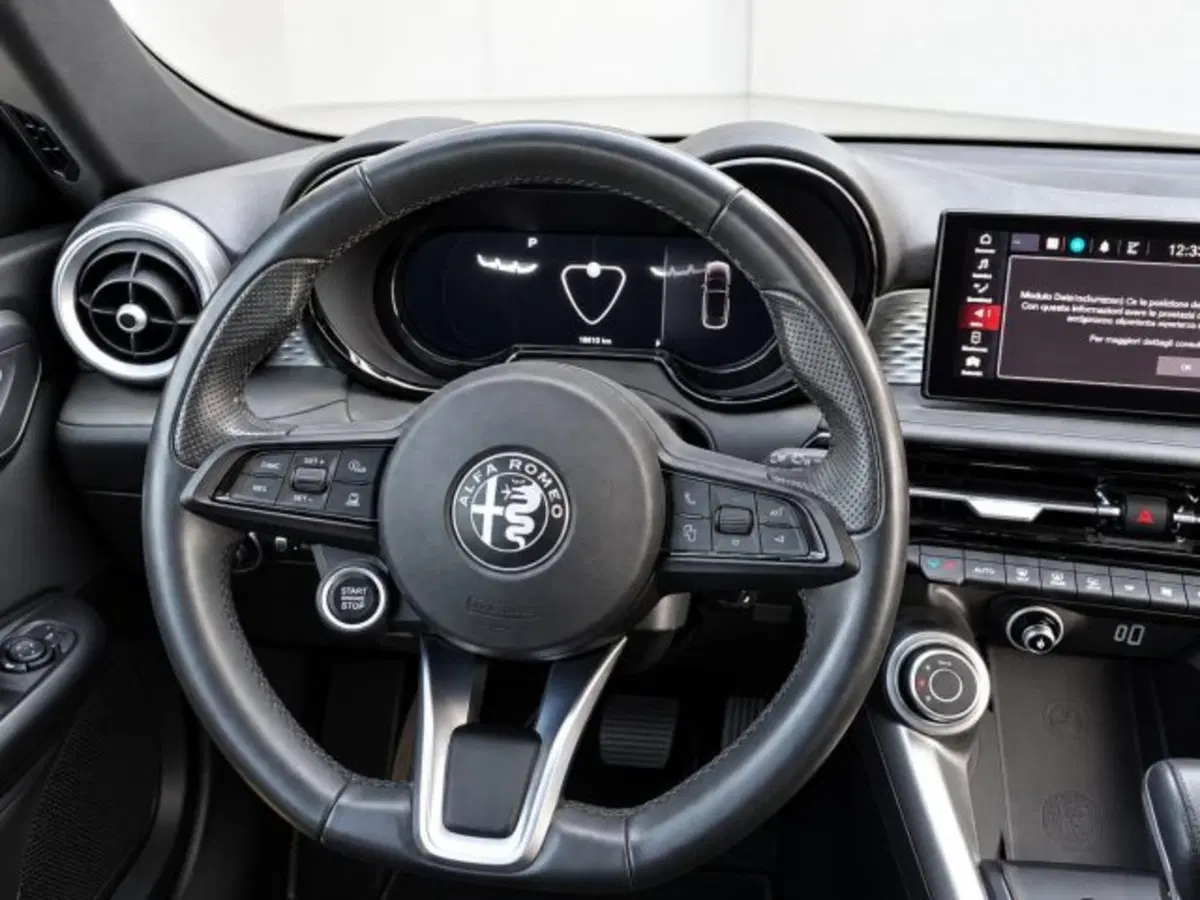 Alfa Romeo Tonale usata a Firenze (10)