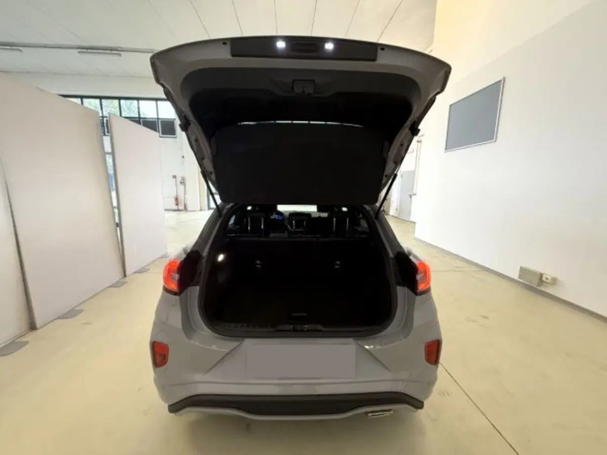 Ford Puma usata a Cuneo (15)