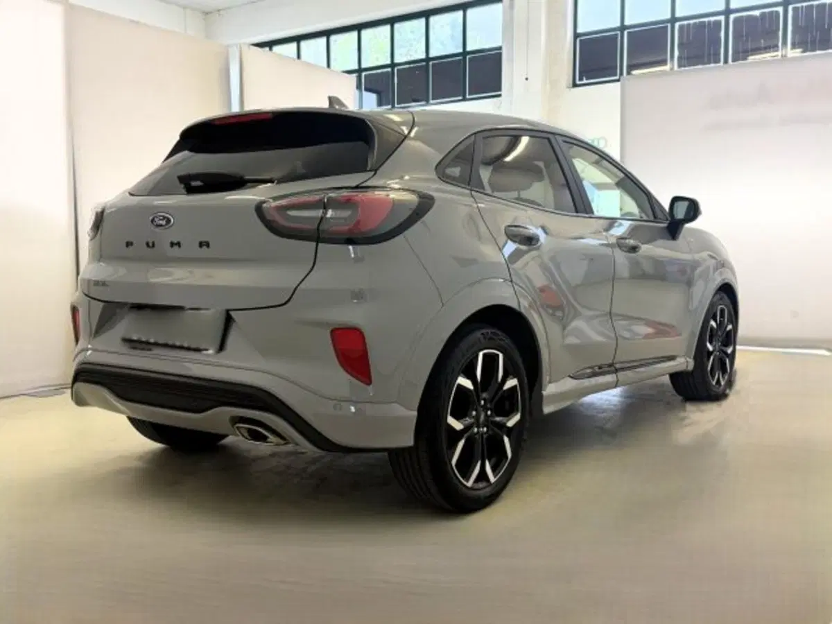 Ford Puma usata a Cuneo (5)