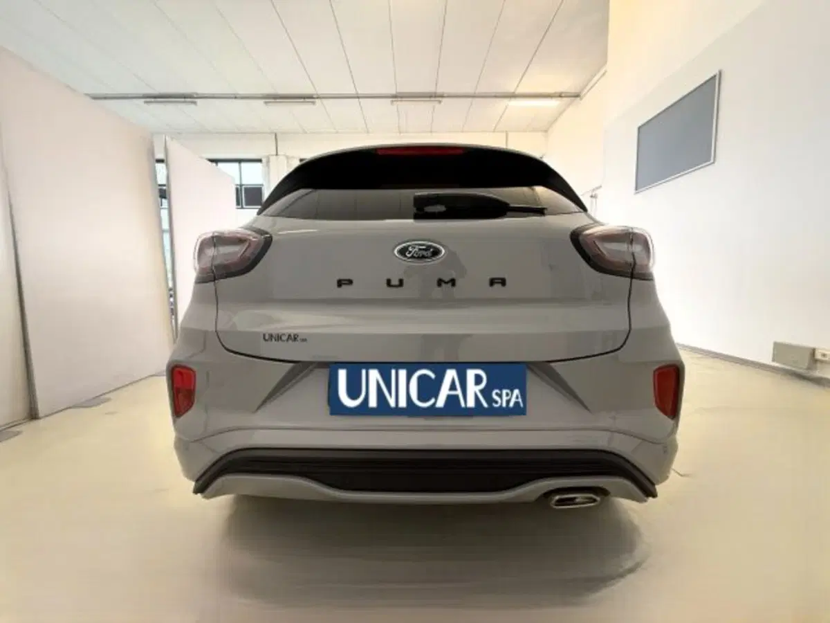 Ford Puma usata a Cuneo (6)