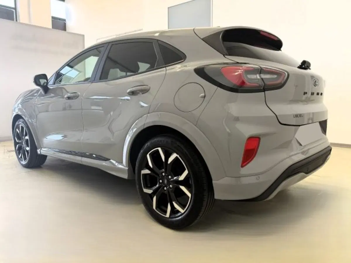 Ford Puma usata a Cuneo (7)