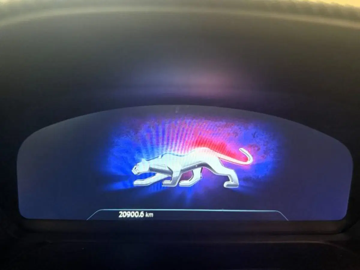 Ford Puma usata a Cuneo (9)