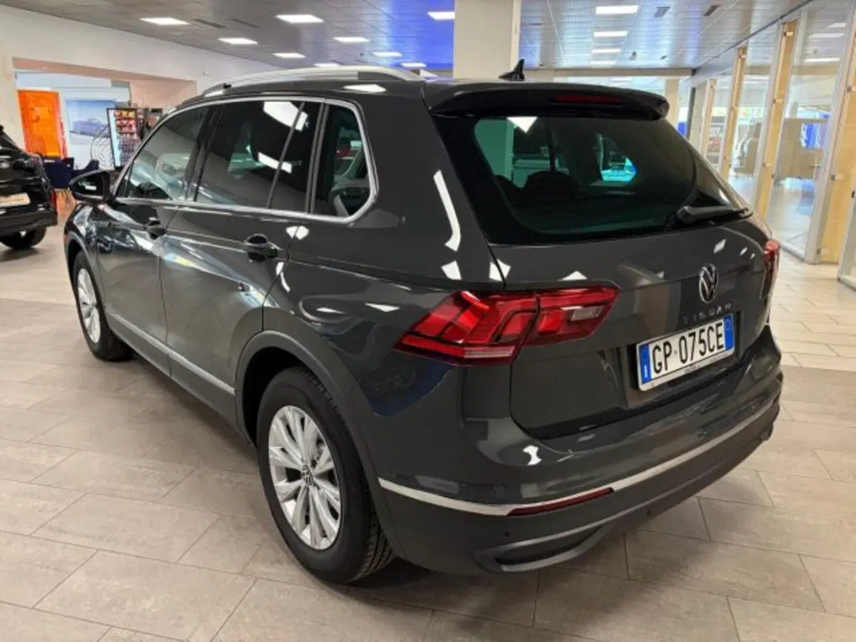 Volkswagen Tiguan usata a Cuneo (5)