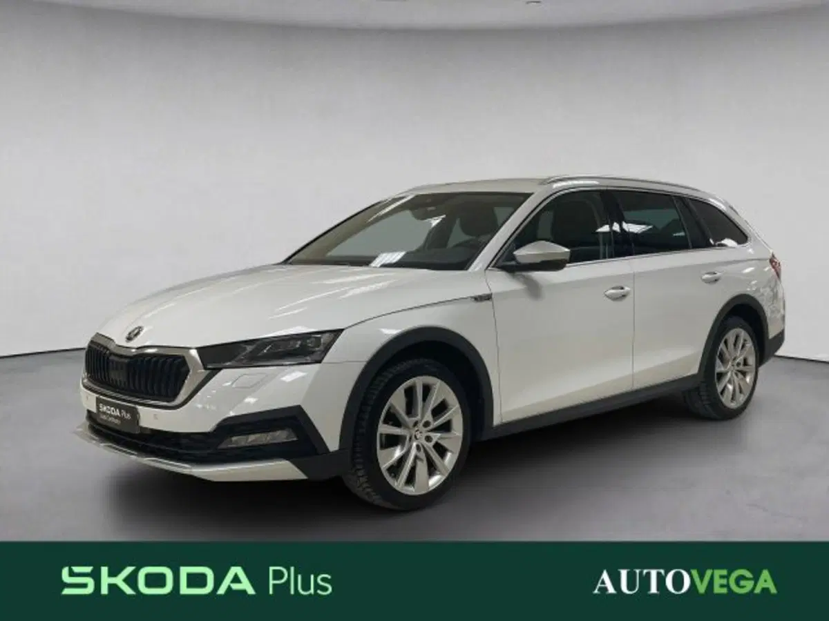 Skoda Octavia Station Wagon usata a Vicenza