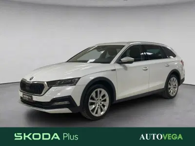 Skoda Octavia Station Wagon 2.0 TDI EVO SCR 150 CV DSG 4x4 Wagon Scout del 2023 usata a Arzignano