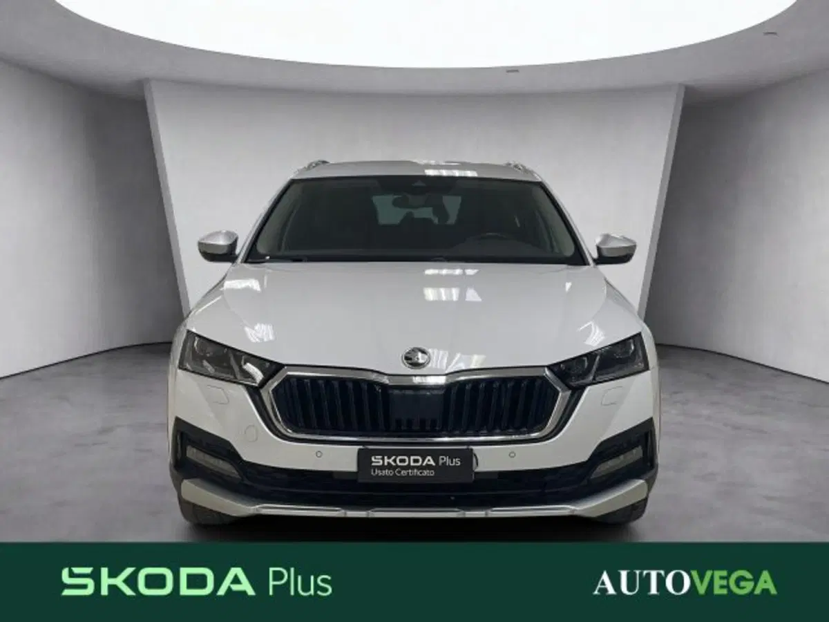 Skoda Octavia Station Wagon usata a Vicenza (2)