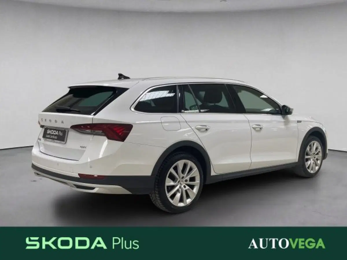 Skoda Octavia Station Wagon usata a Vicenza (4)