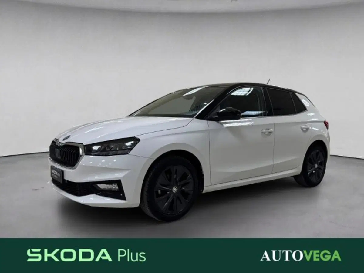 Skoda Fabia usata a Vicenza