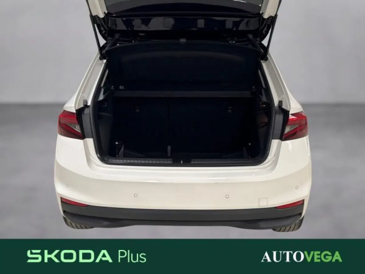 Skoda Fabia usata a Vicenza (17)