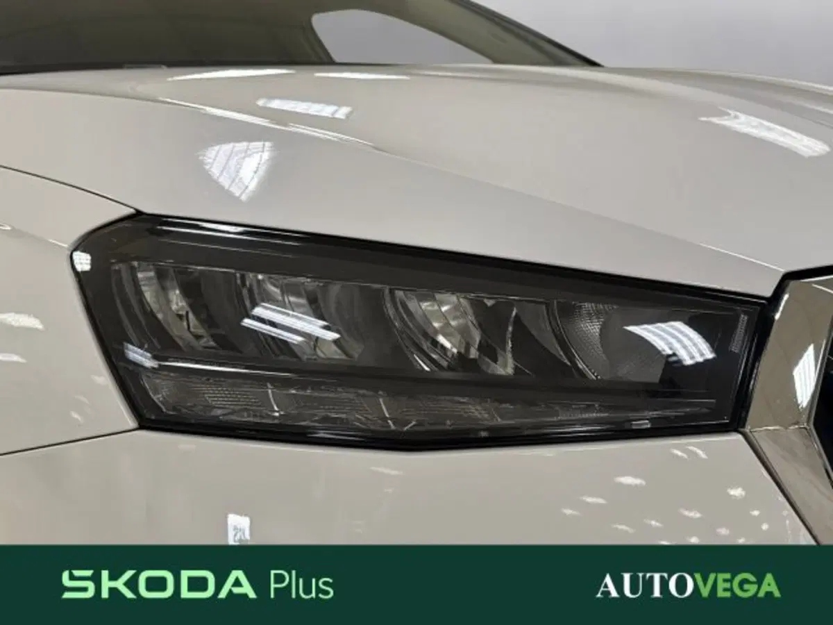 Skoda Fabia usata a Vicenza (19)