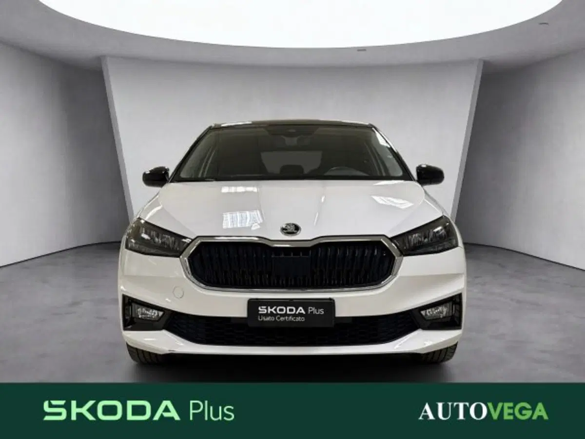 Skoda Fabia usata a Vicenza (2)