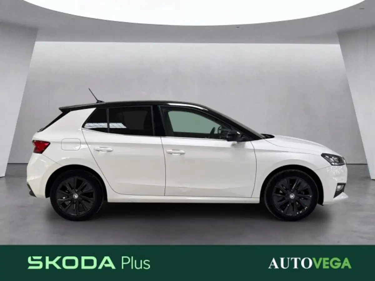 Skoda Fabia usata a Vicenza (3)